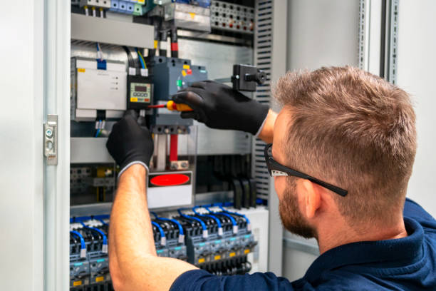 Best Electric Panel Repair  in Rosewood Heights, IL