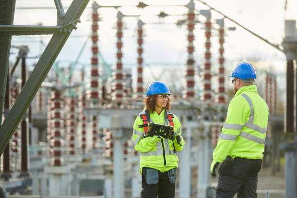 Best Electrical System Inspection  in Rosewood Heights, IL