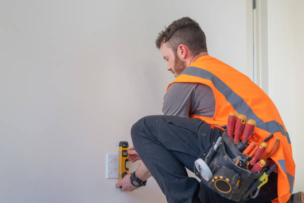 Best Local Electrician Companies  in Rosewood Heights, IL